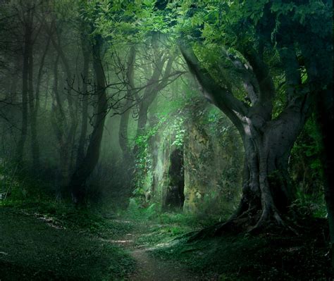 The Enchanted Forest: An Instagrammer's Paradise
